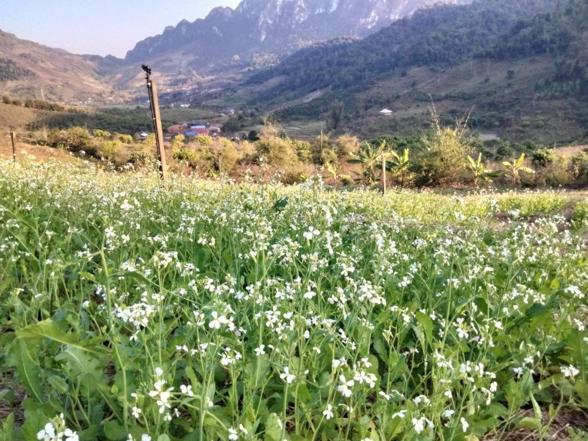 Muong Sang Farmstay Moc Chau Exterior foto
