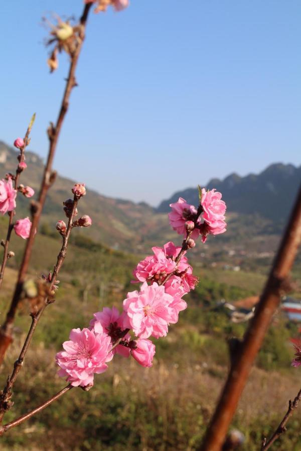 Muong Sang Farmstay Moc Chau Exterior foto