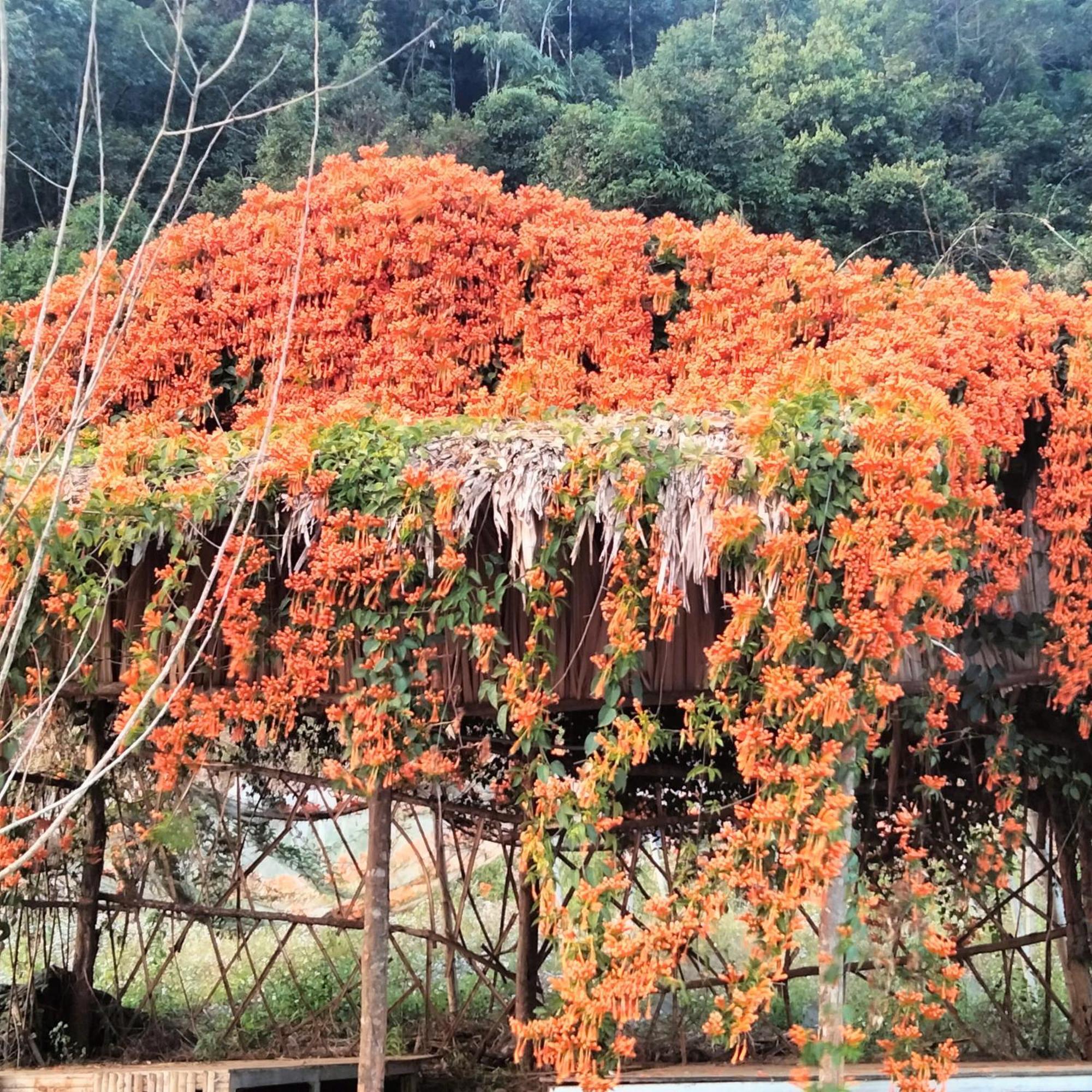 Muong Sang Farmstay Moc Chau Exterior foto