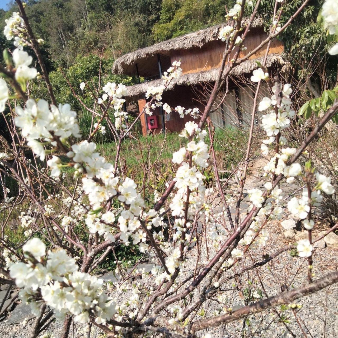 Muong Sang Farmstay Moc Chau Exterior foto